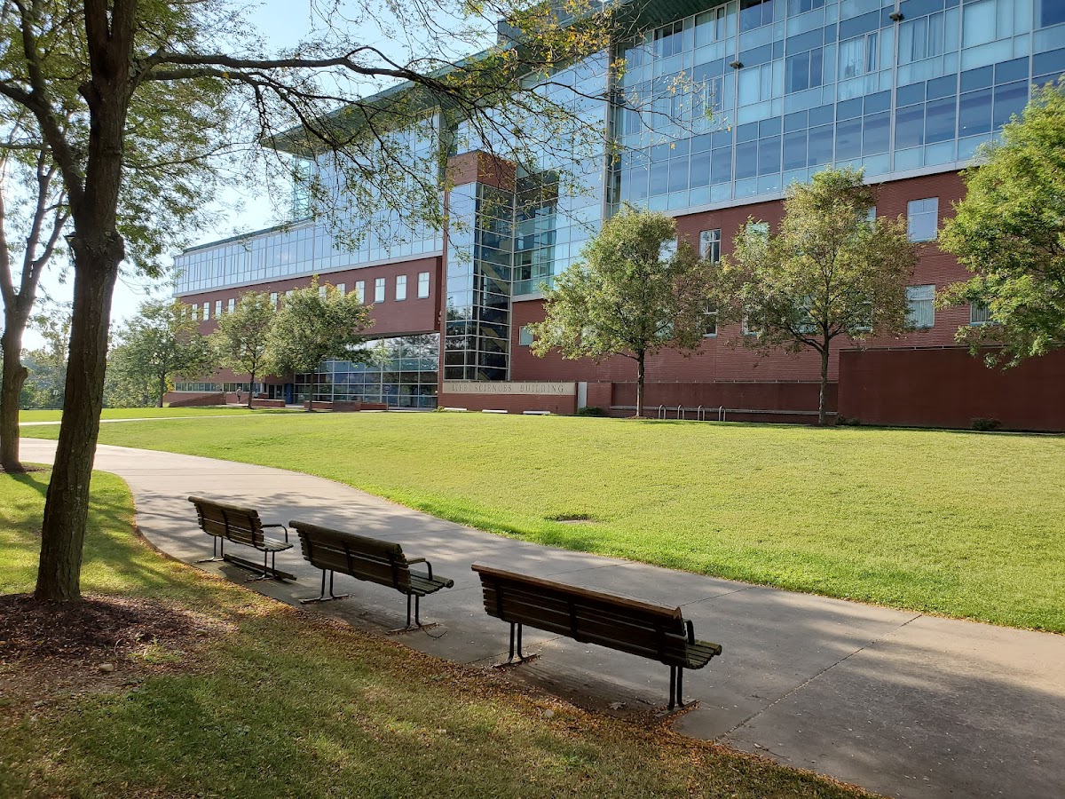 West Virginia University photo 3