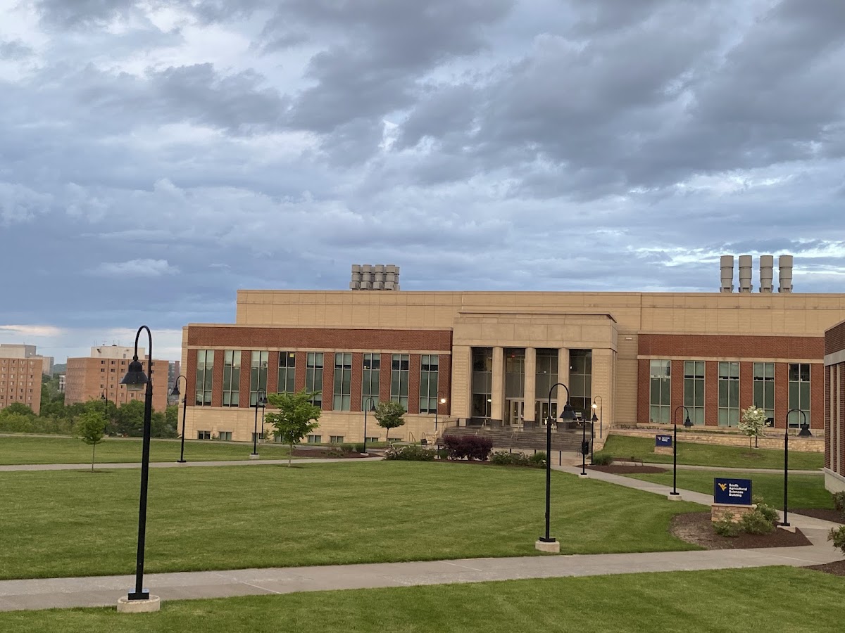 West Virginia University photo 6