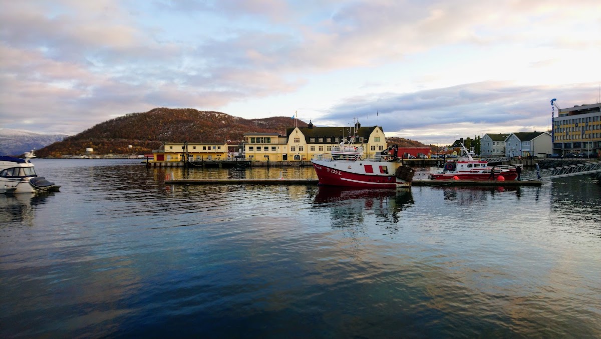 The Arctic University of Norway - Harstad photo 5