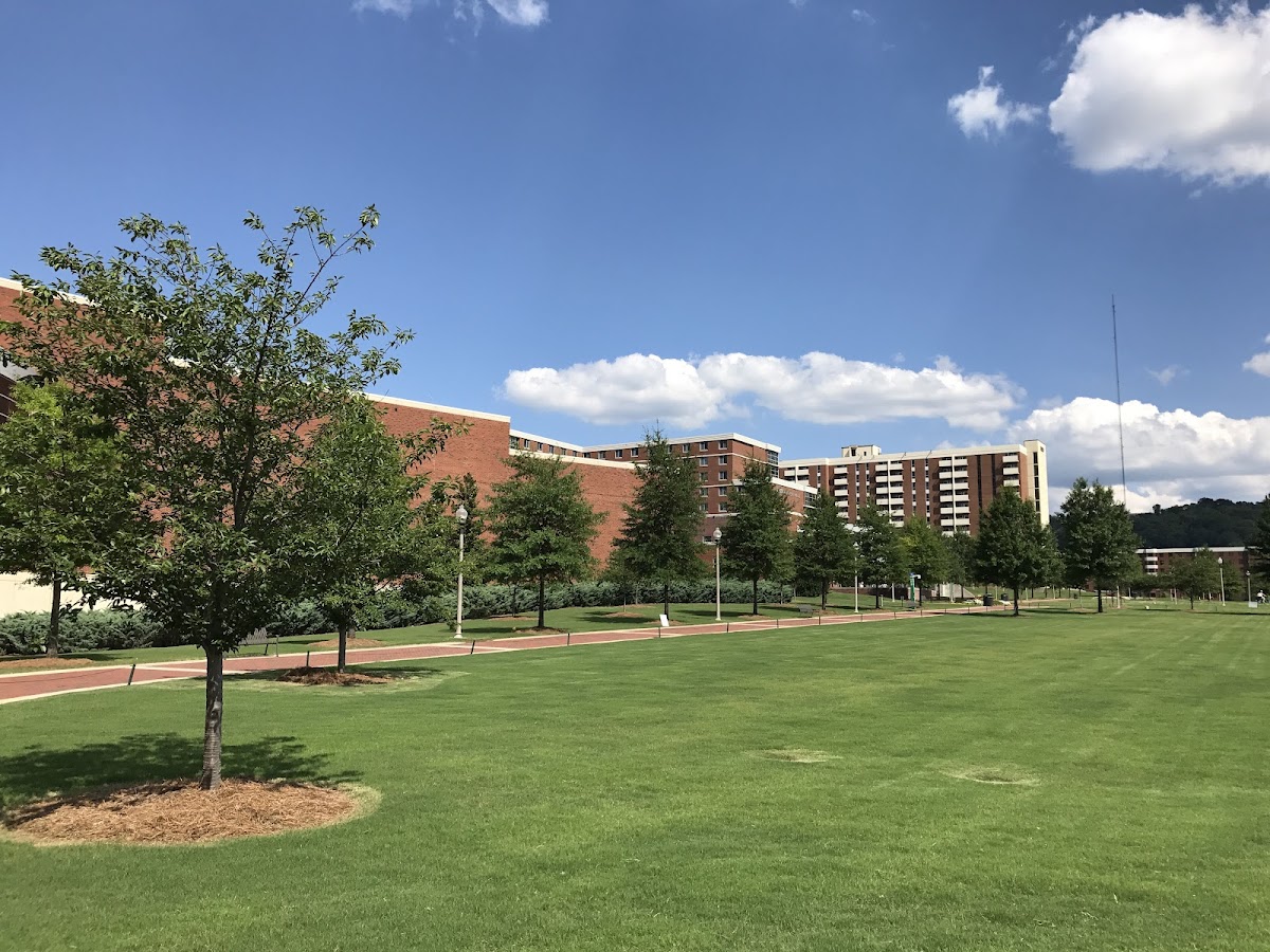 University of Alabama Birmingham photo 6
