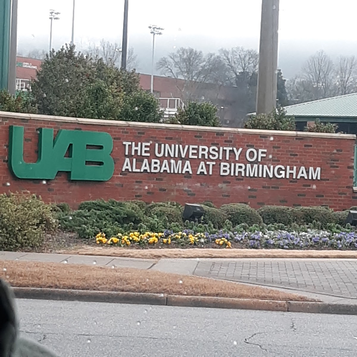 University of Alabama Birmingham photo 9