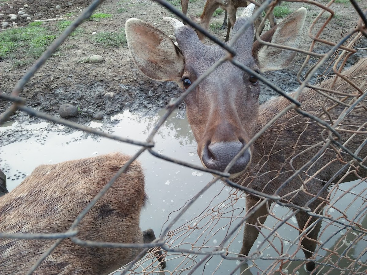 North Sumatra University photo 4
