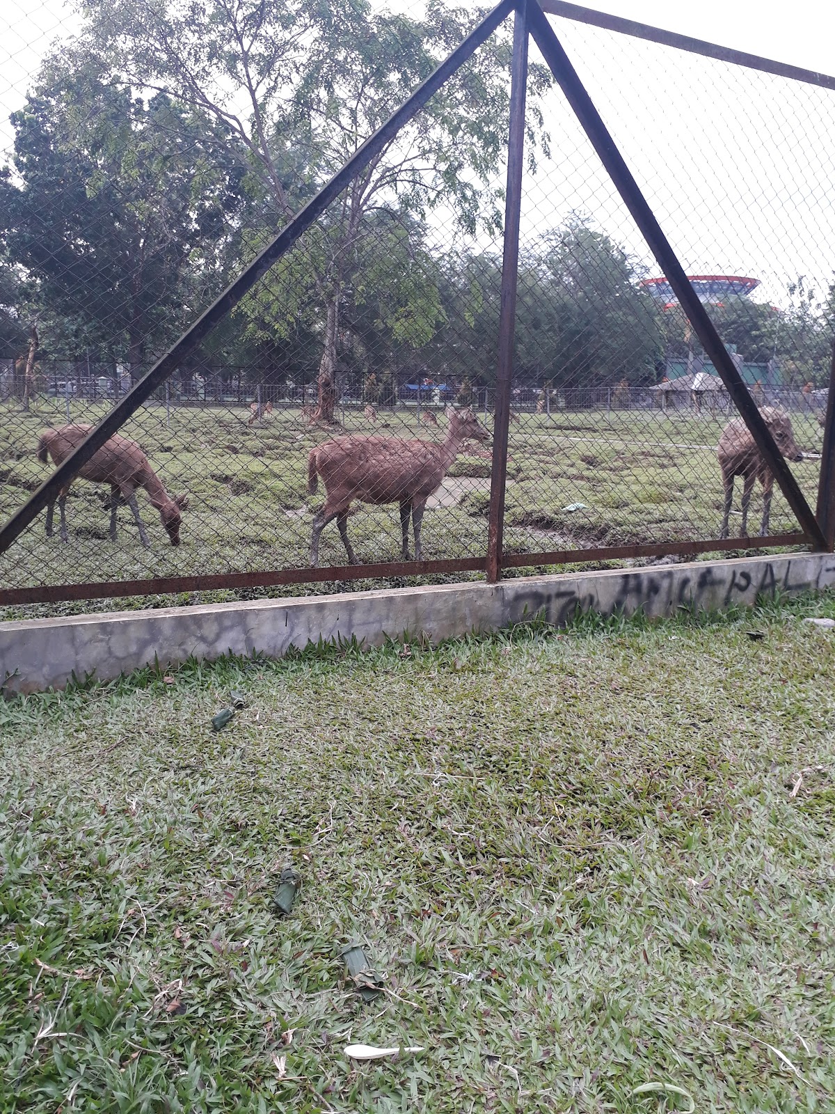 North Sumatra University photo 7