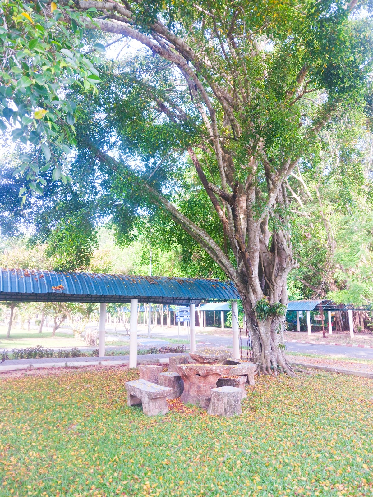 Prince of Songkla University, Phuket Campus photo 9