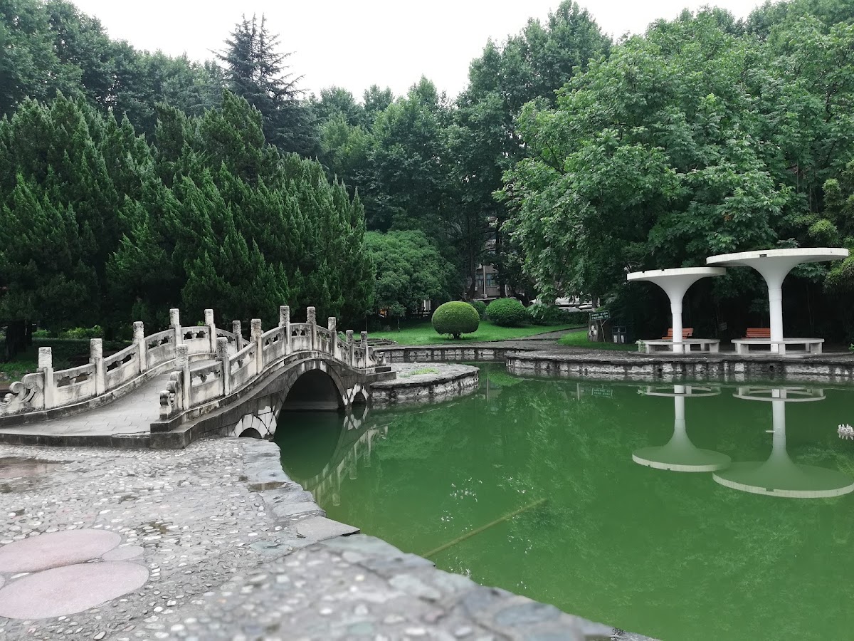Xi'an Jiaotong University photo 3