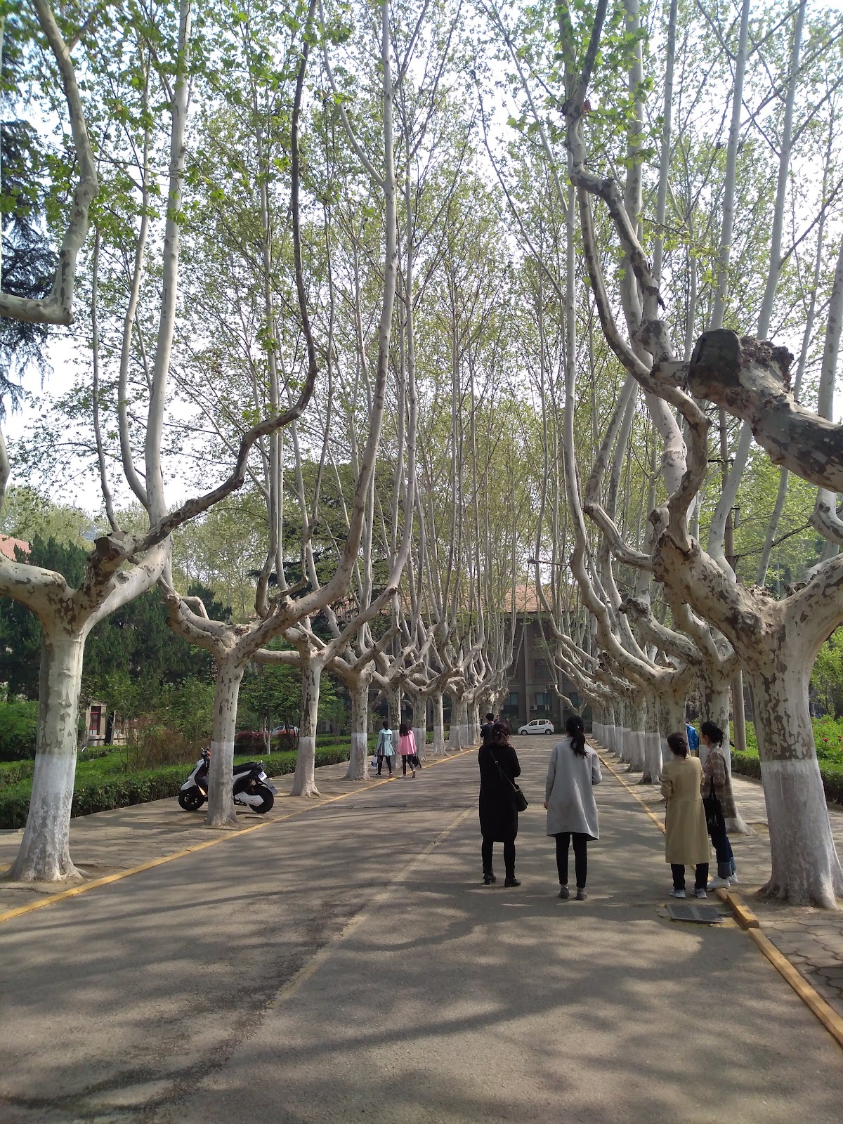 Xi'an Jiaotong University photo 9