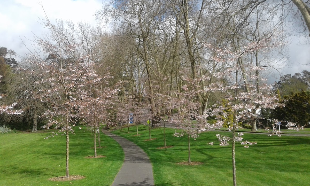 Massey University photo 1