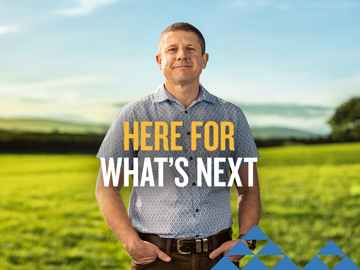 Massey University photo 4