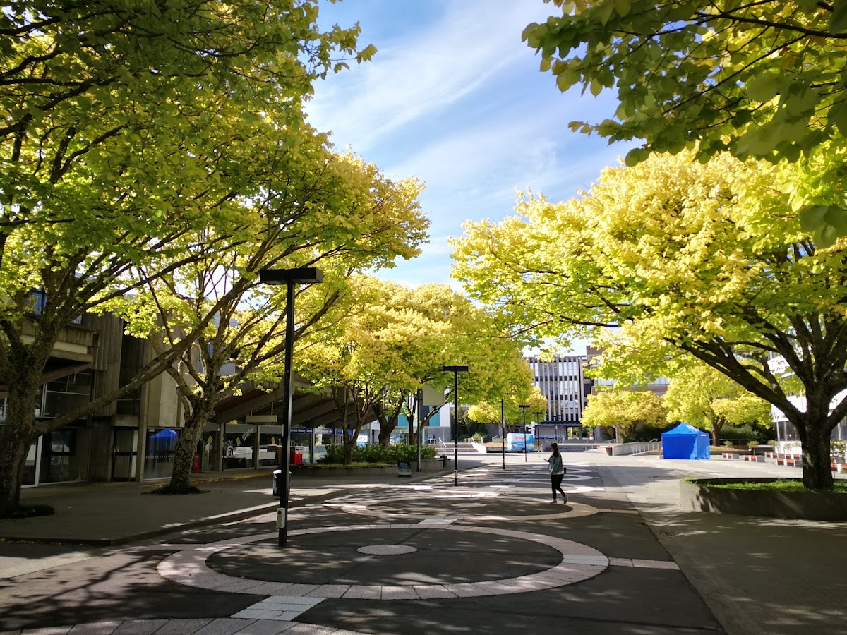 Massey University photo 7