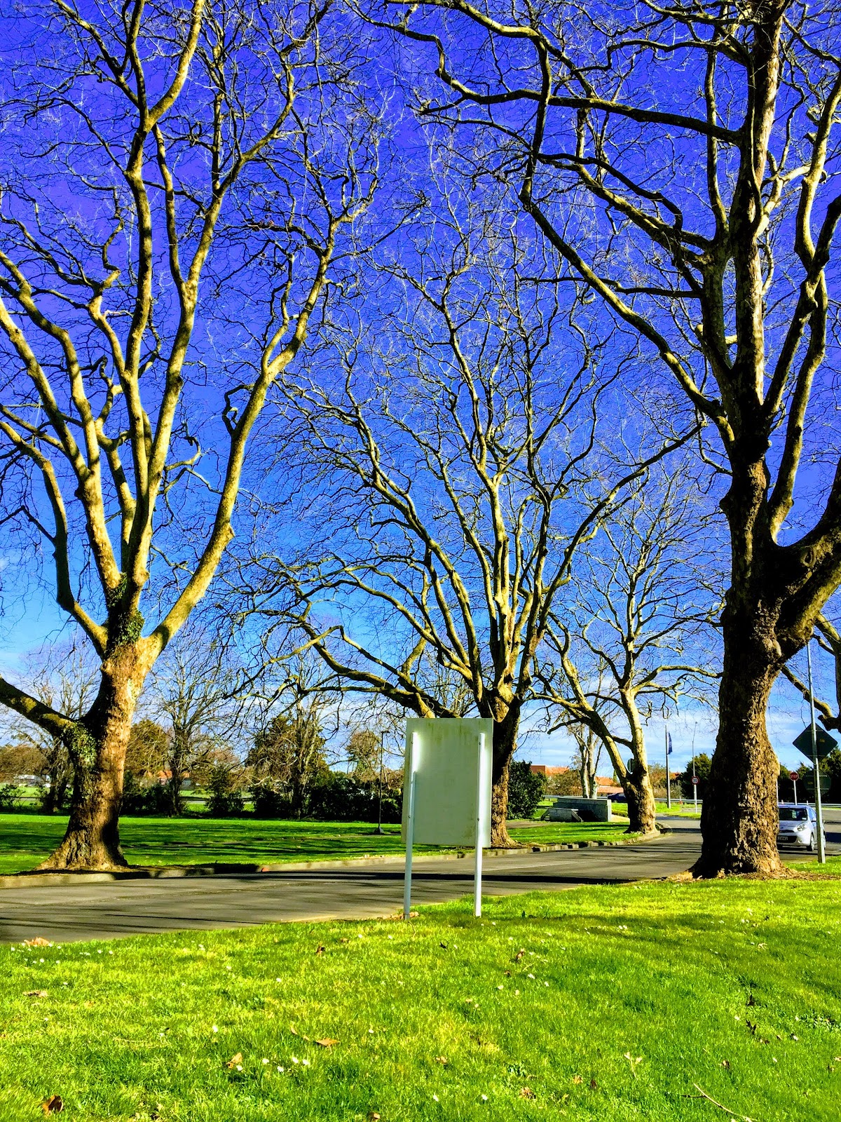 Massey University photo 9