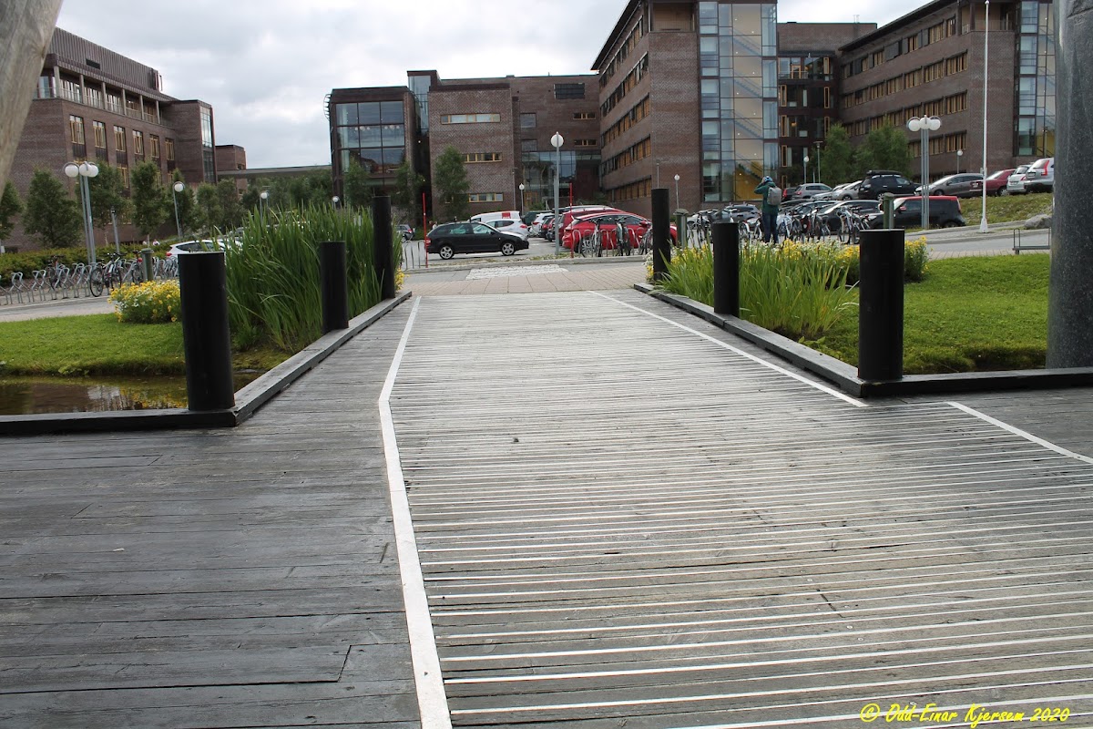 Norwegian College of Fishery Science photo 1