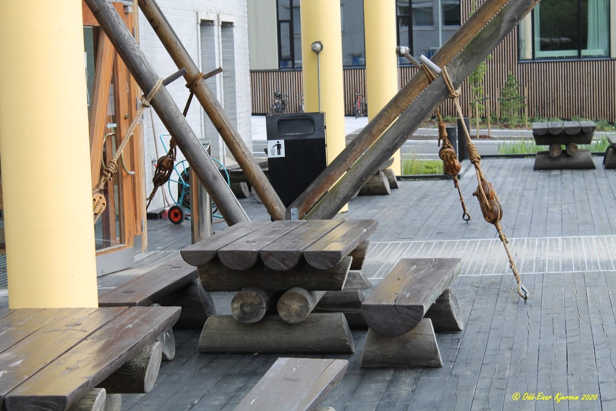 Norwegian College of Fishery Science photo 2