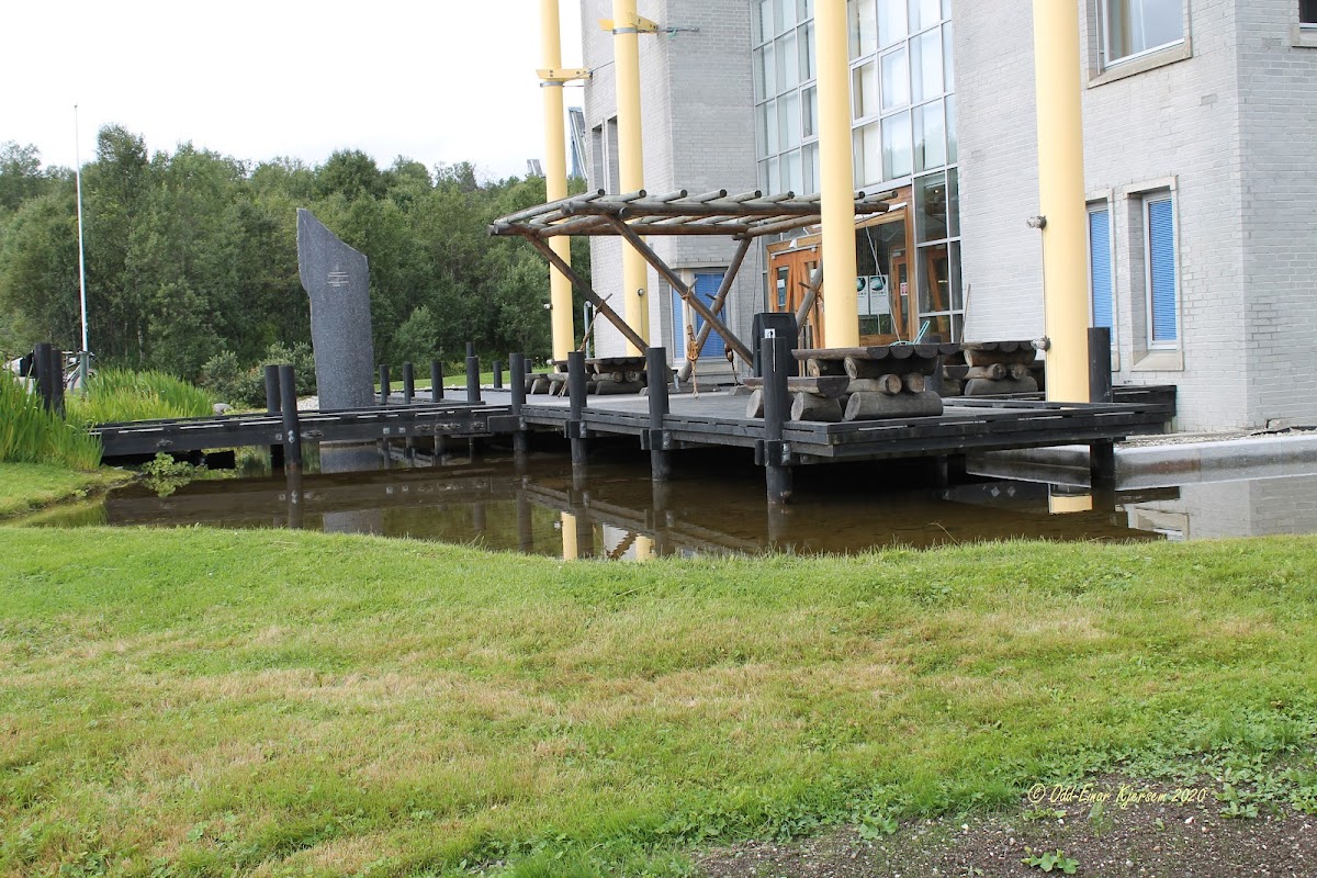 Norwegian College of Fishery Science photo 3