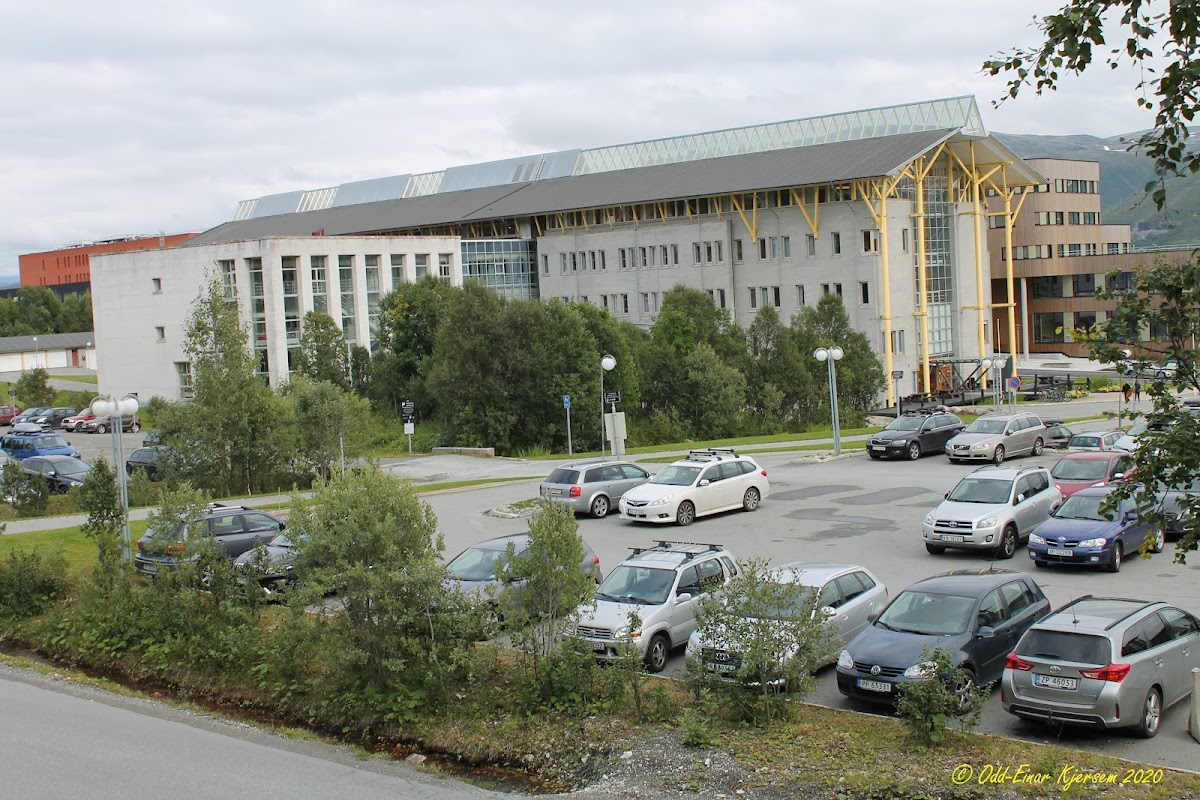 Norwegian College of Fishery Science photo 5