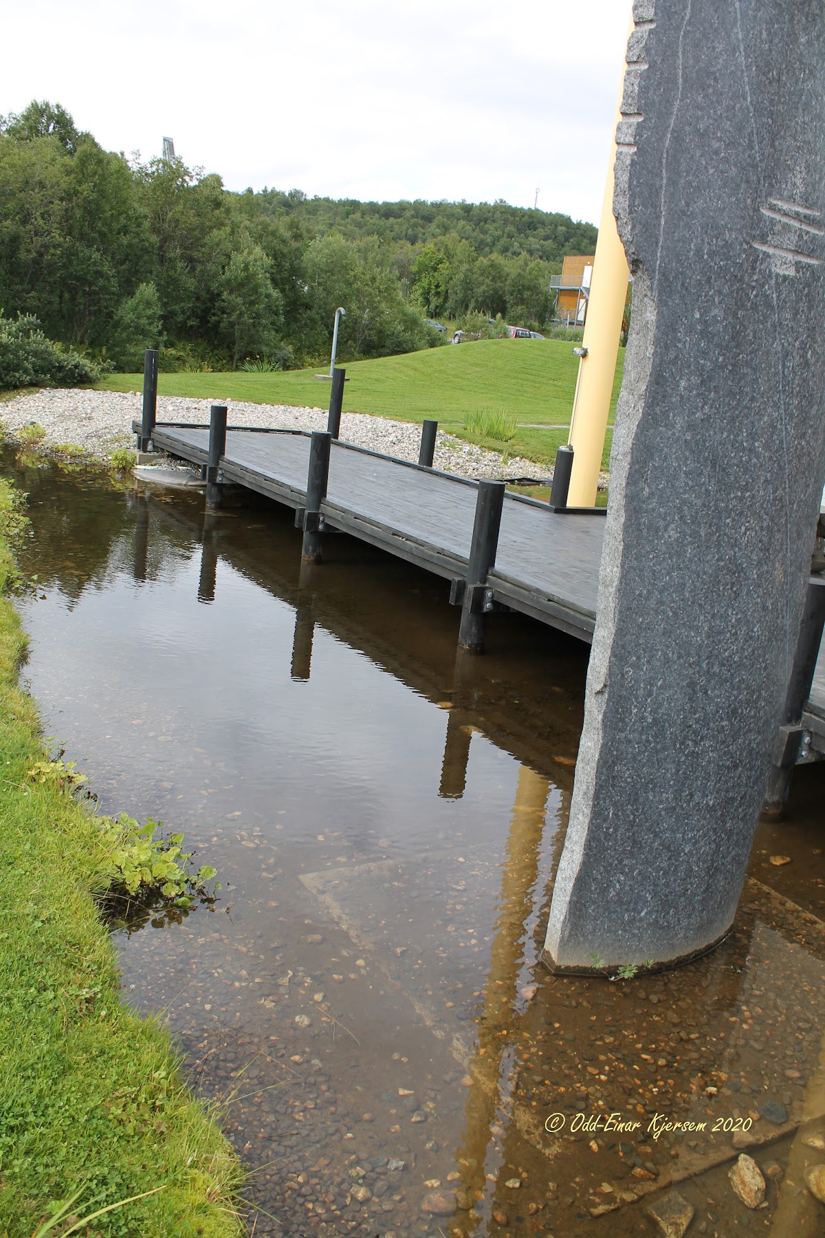 Norwegian College of Fishery Science photo 8