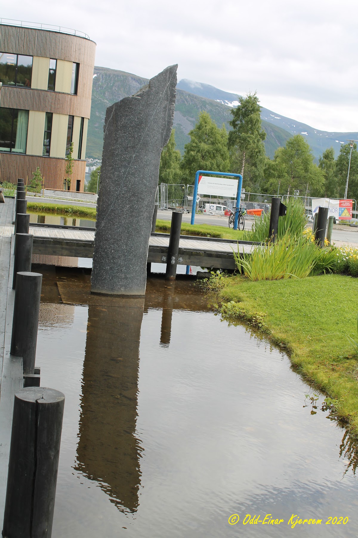 Norwegian College of Fishery Science photo 9