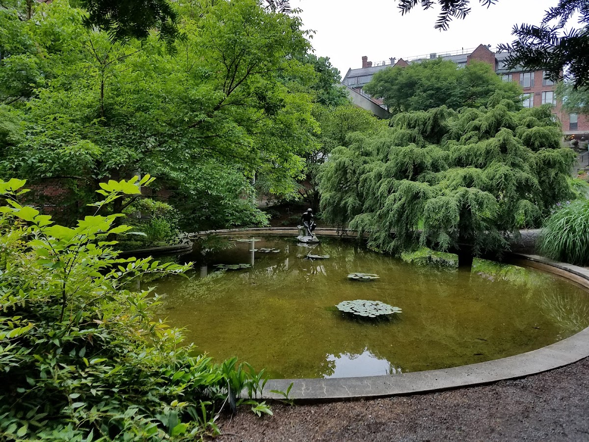 Mount Holyoke College photo 2