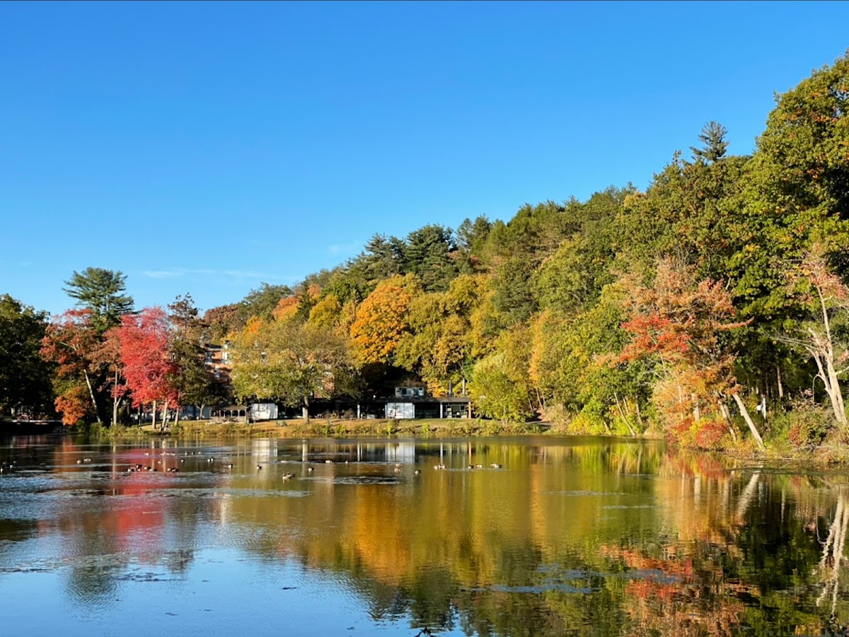 Mount Holyoke College photo 3