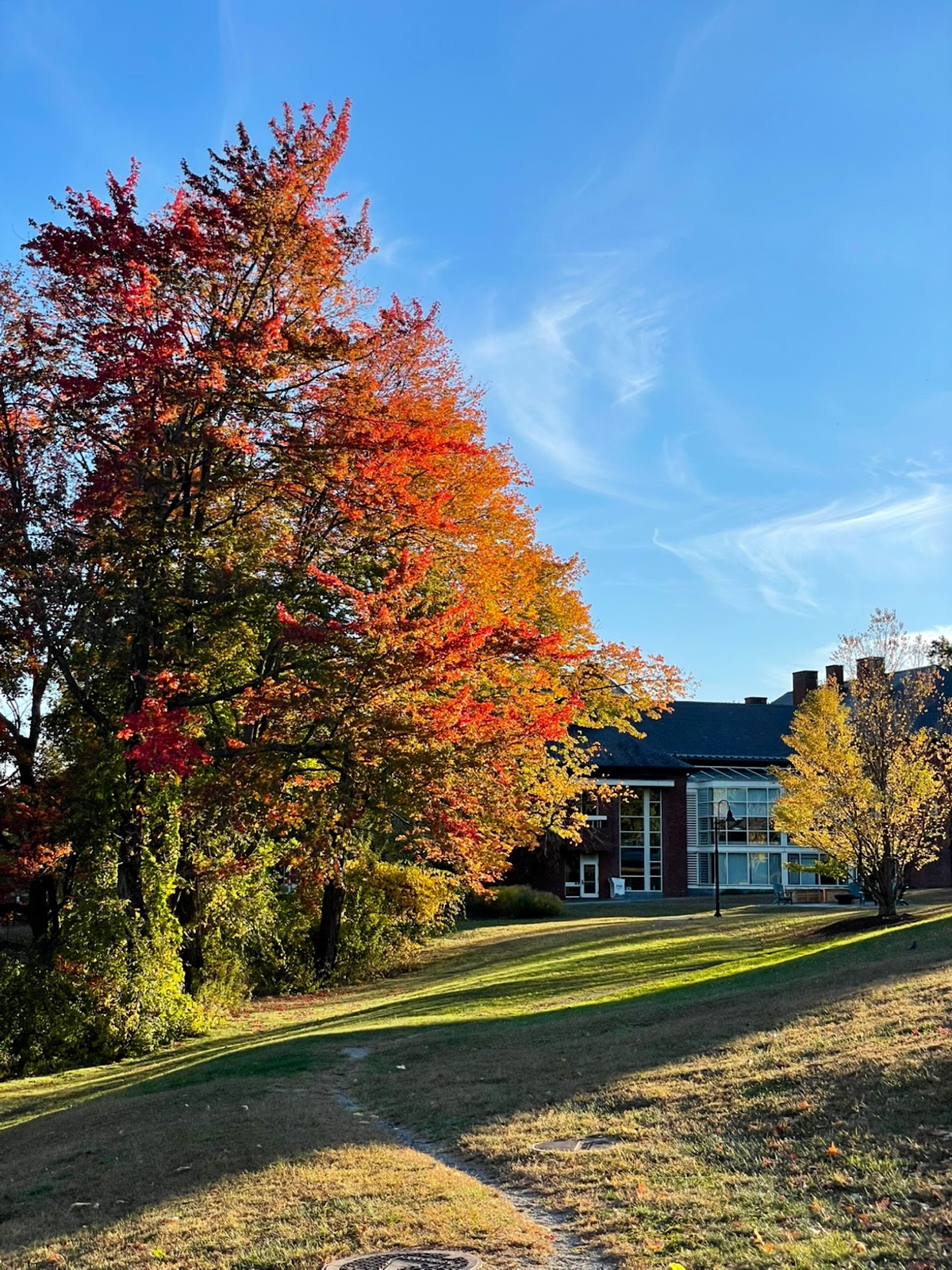 Mount Holyoke College photo 7