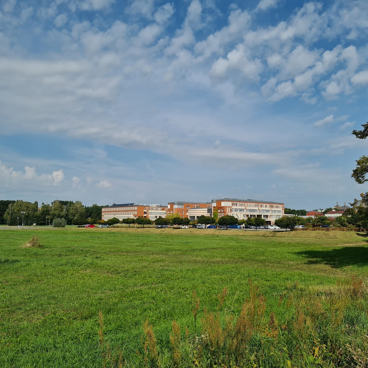 University of Hradec Králové photo 7