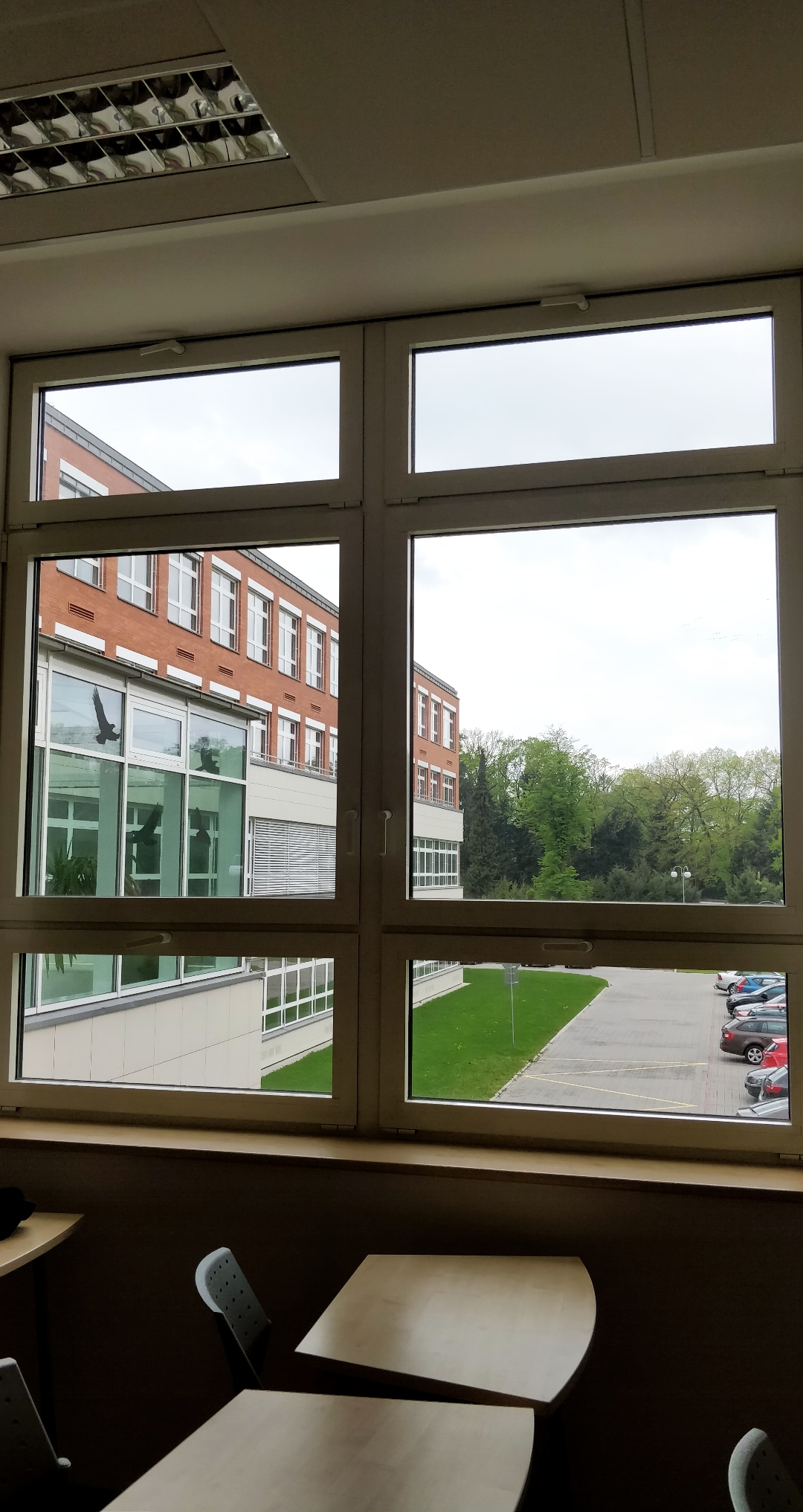 University of Hradec Králové photo 9