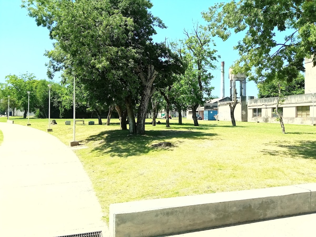 National University of Moreno photo 4