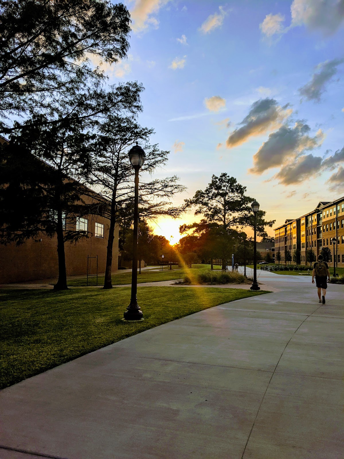 University of Texas at Arlington photo 9