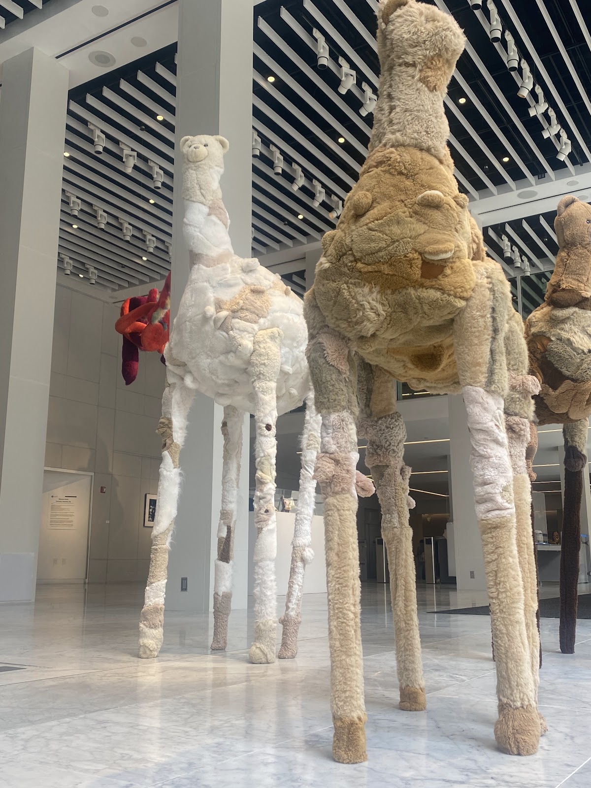 Fashion Institute photo 8