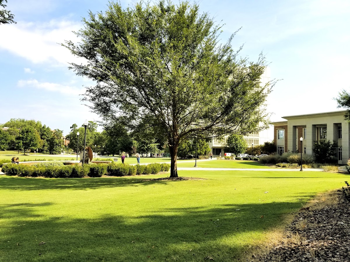 UNC Greensboro photo 2