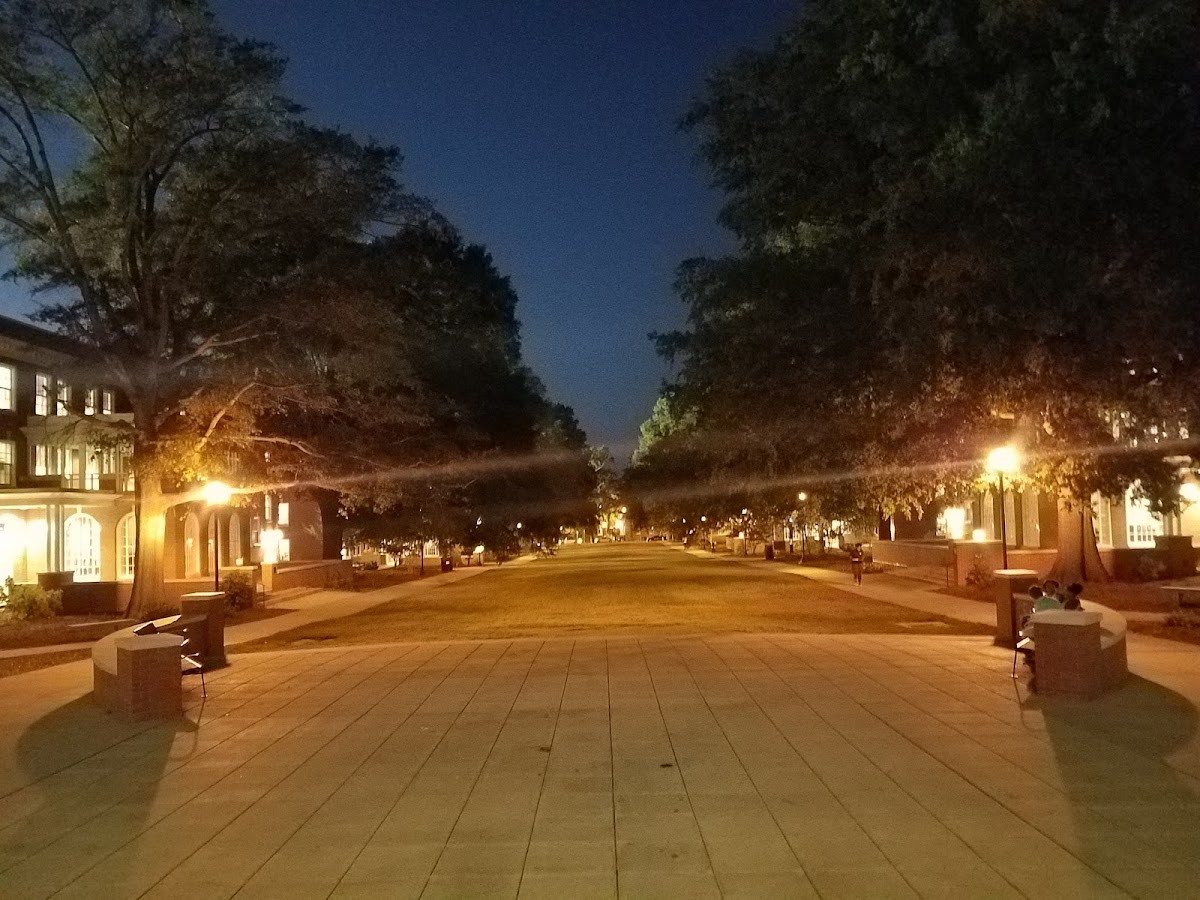 UNC Greensboro photo 3