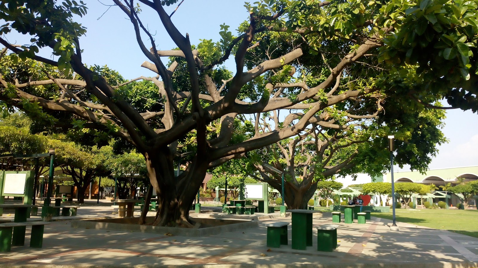 Universidad Popular del Cesar