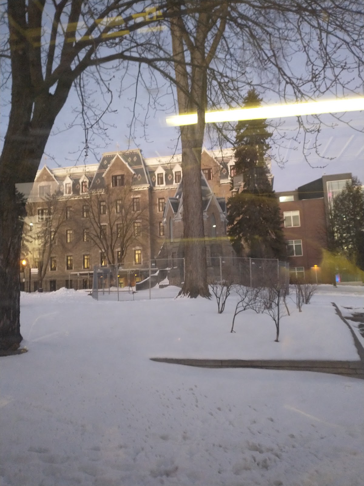 Collège Lionel-Groulx photo 7
