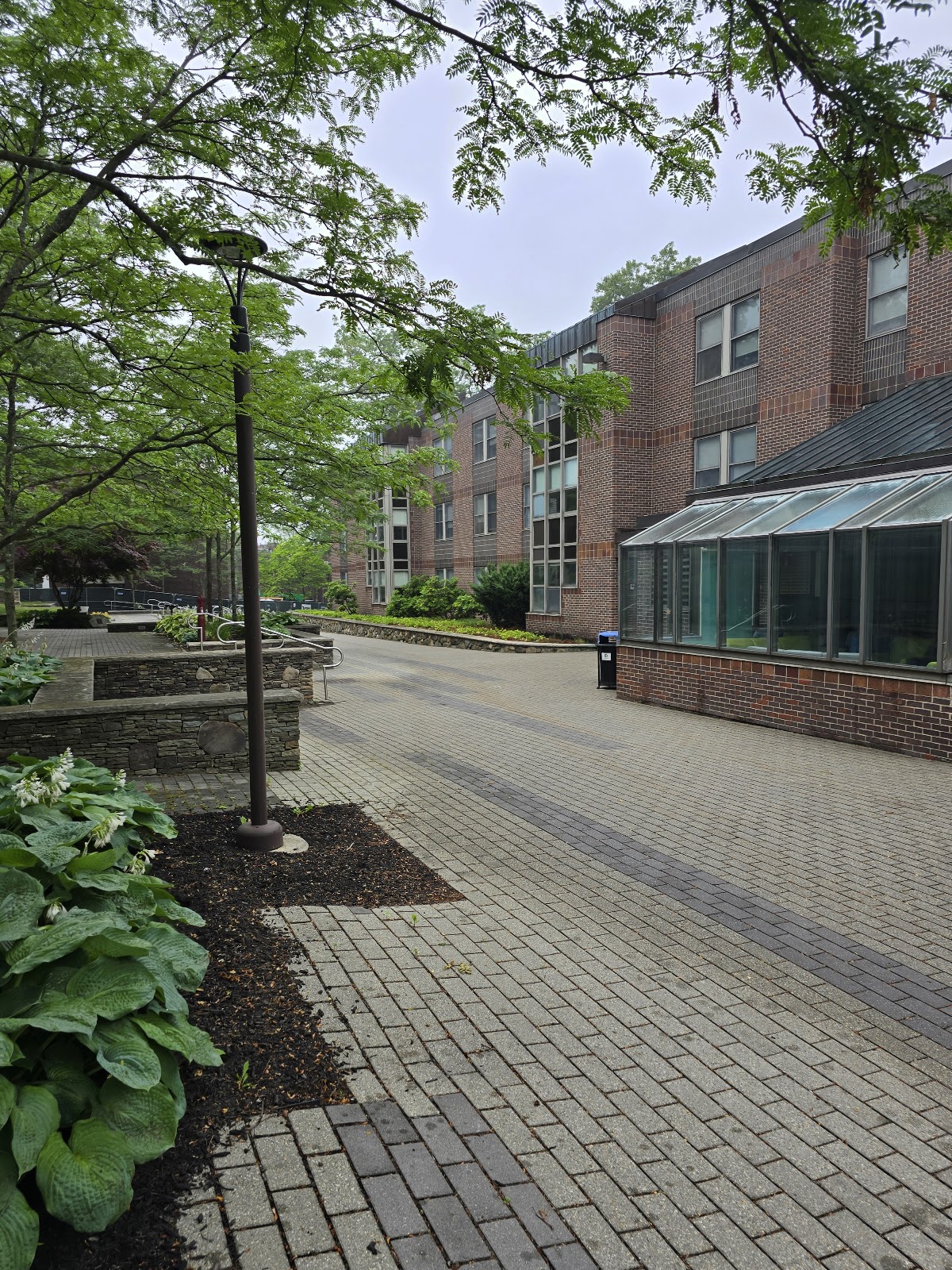 Babson College photo 9
