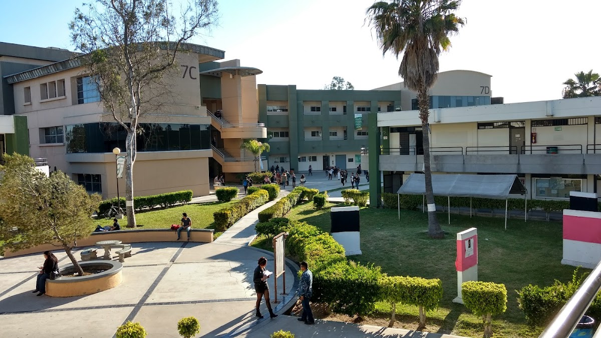 Autonomous University of Baja California photo 3