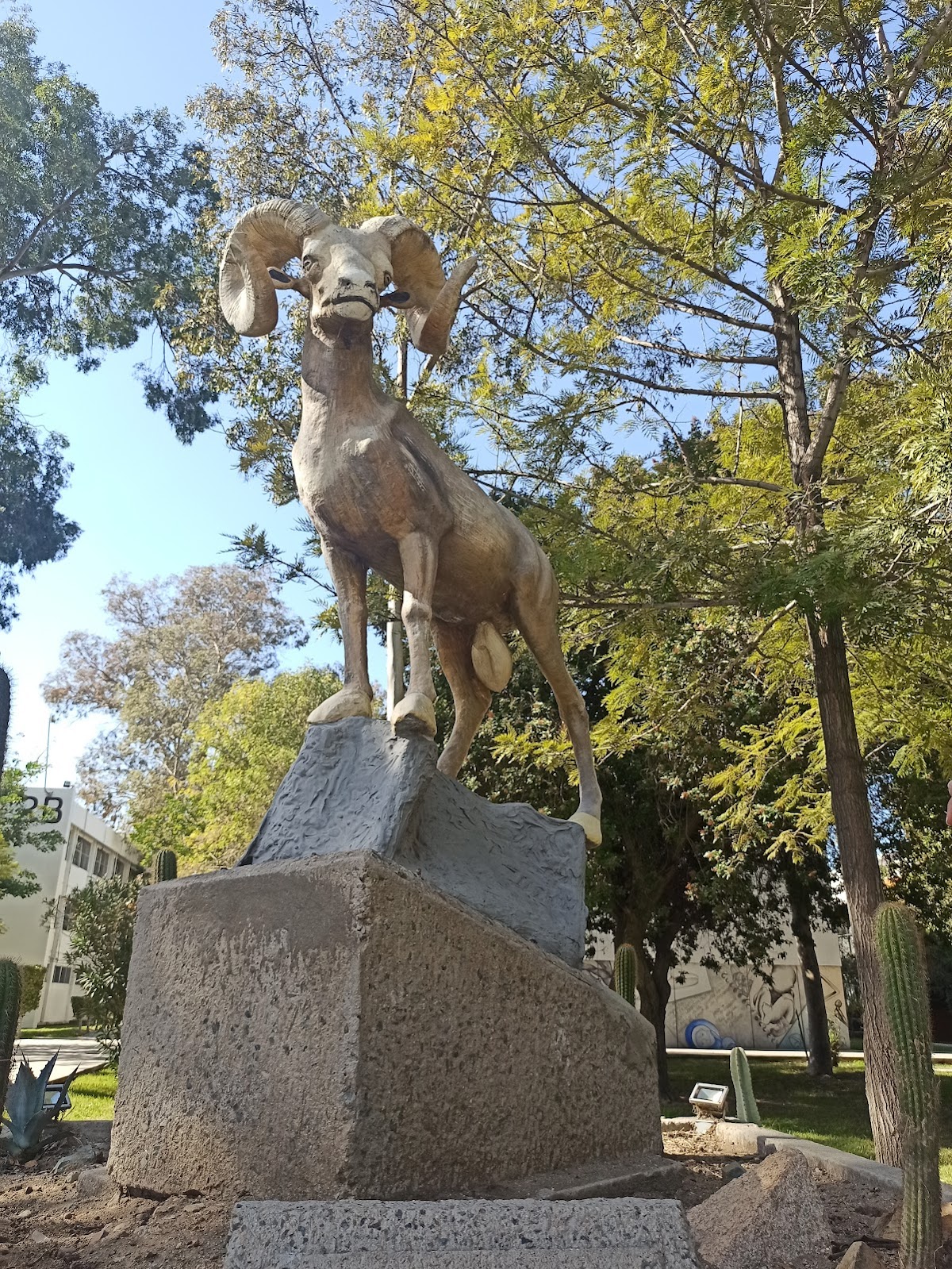 Autonomous University of Baja California photo 6
