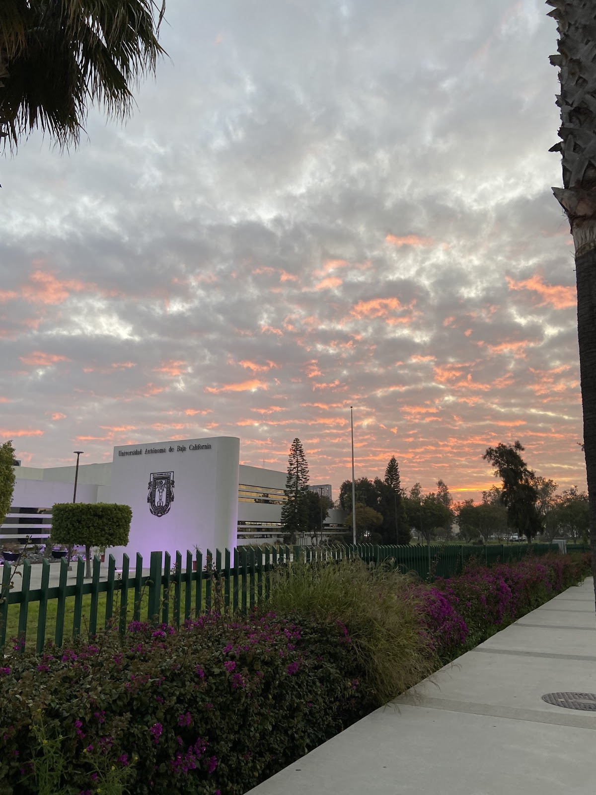 Autonomous University of Baja California photo 8