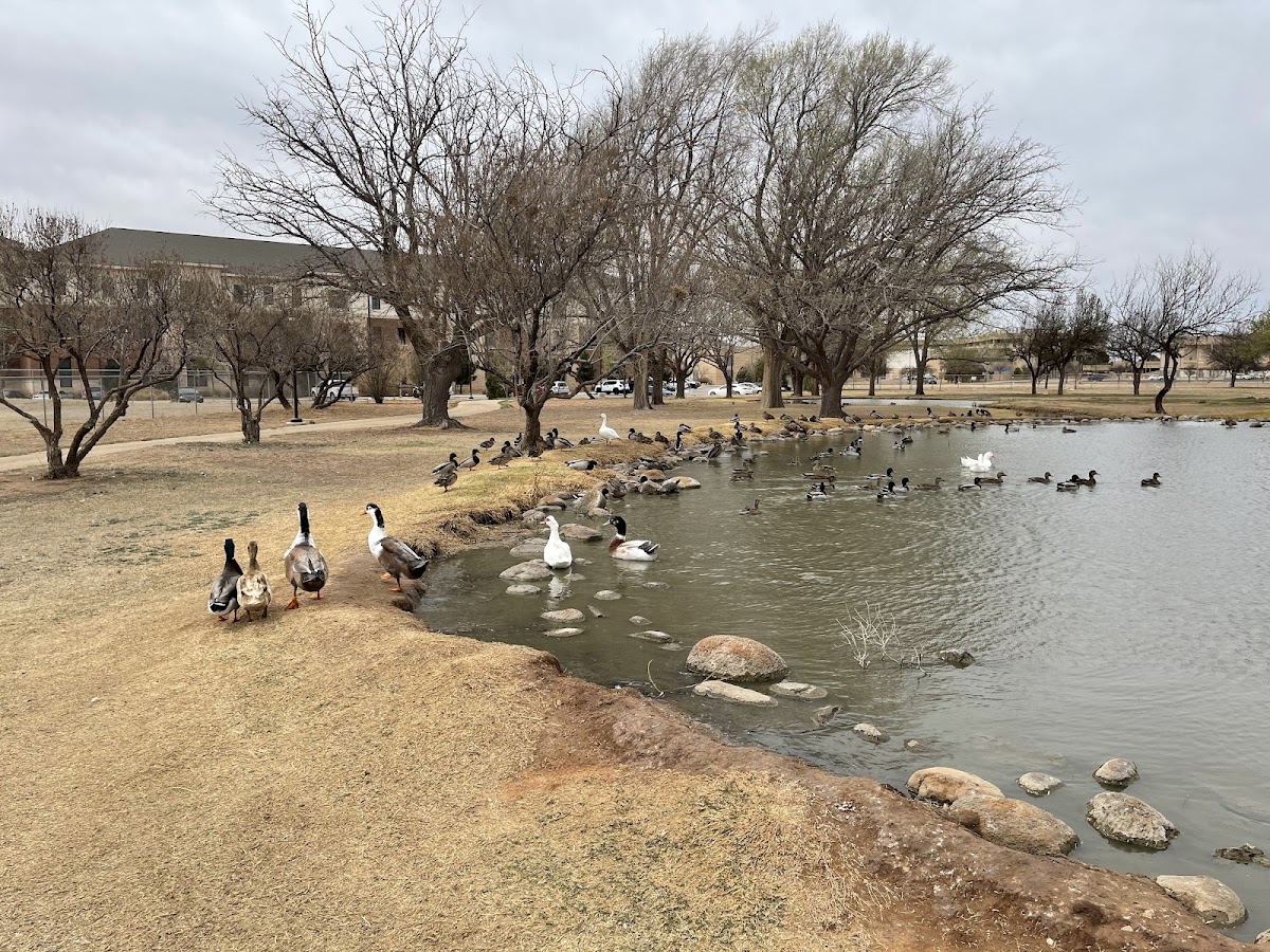 UT Permian Basin photo 7