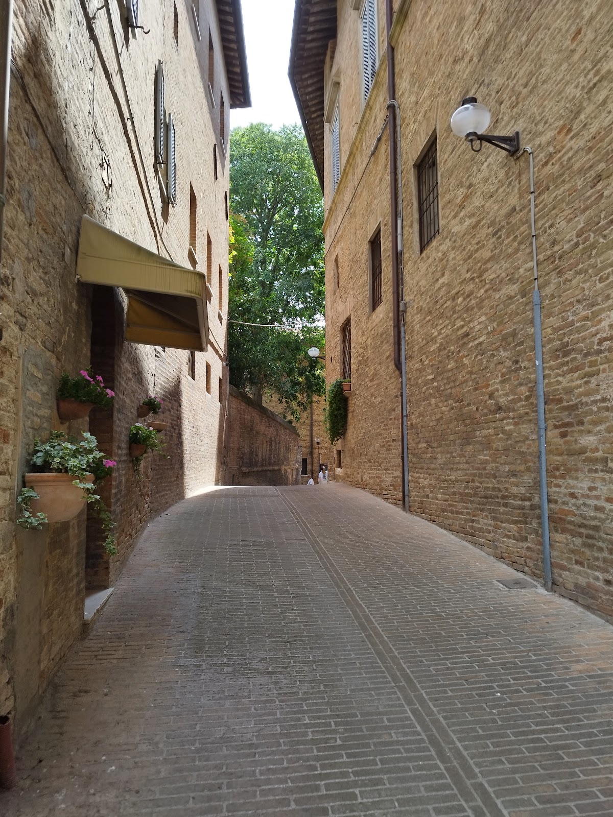 University of Urbino Carlo Bo photo 8