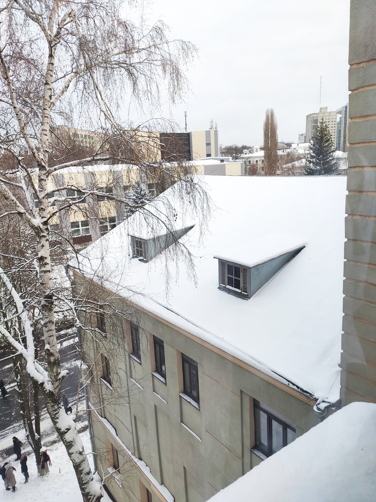 Kharkiv National Medical University photo 9