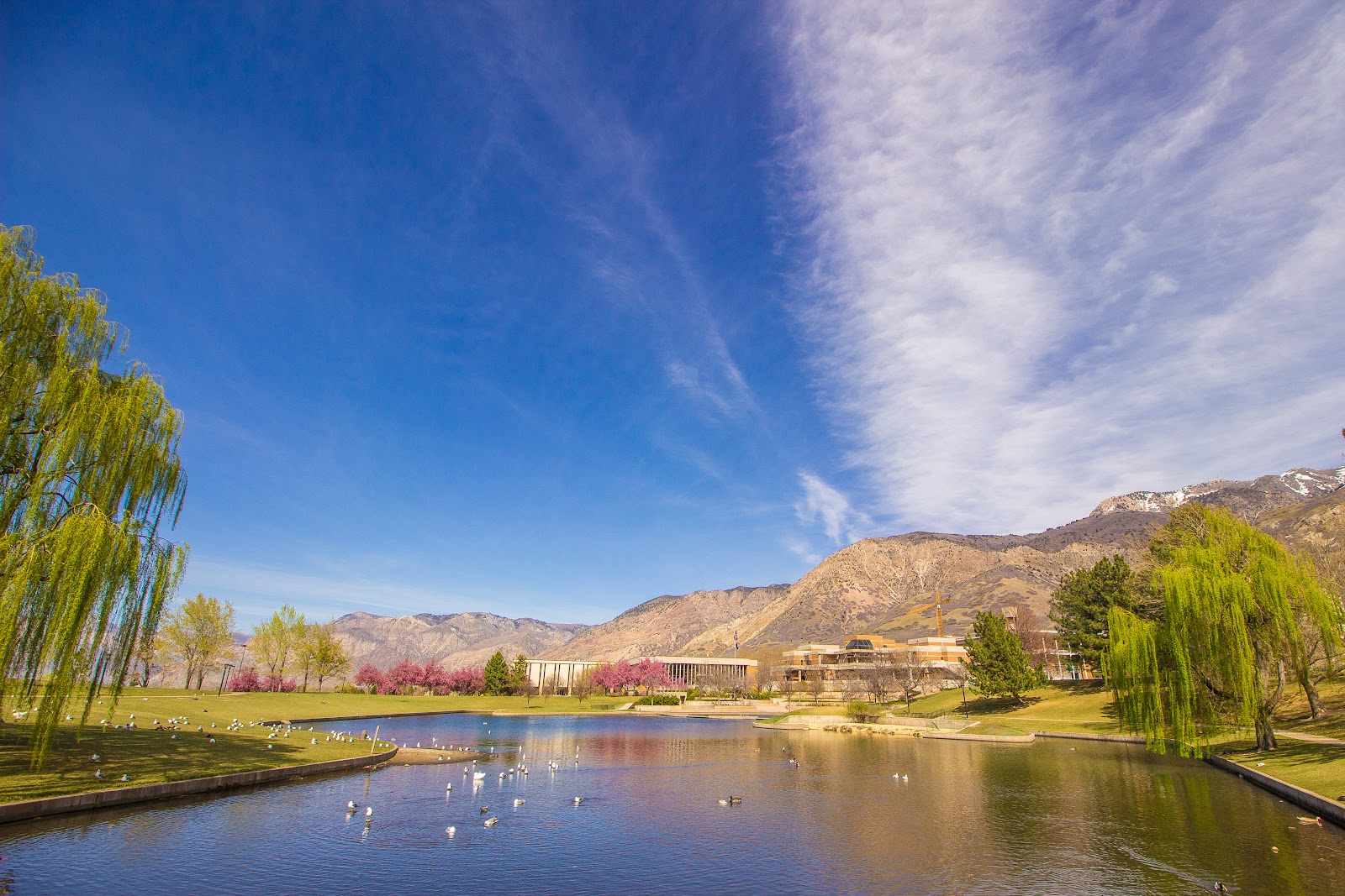 Weber State University