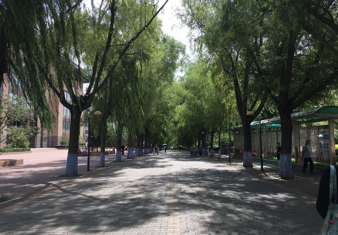 Harbin Institute of Technology photo 2