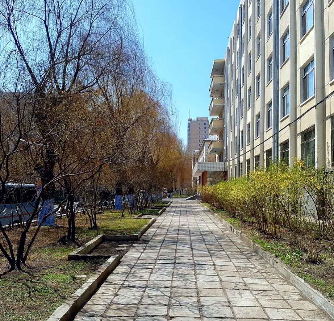 Harbin Institute of Technology photo 9