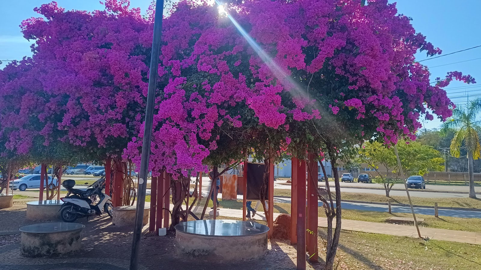 Federal University of Goiás