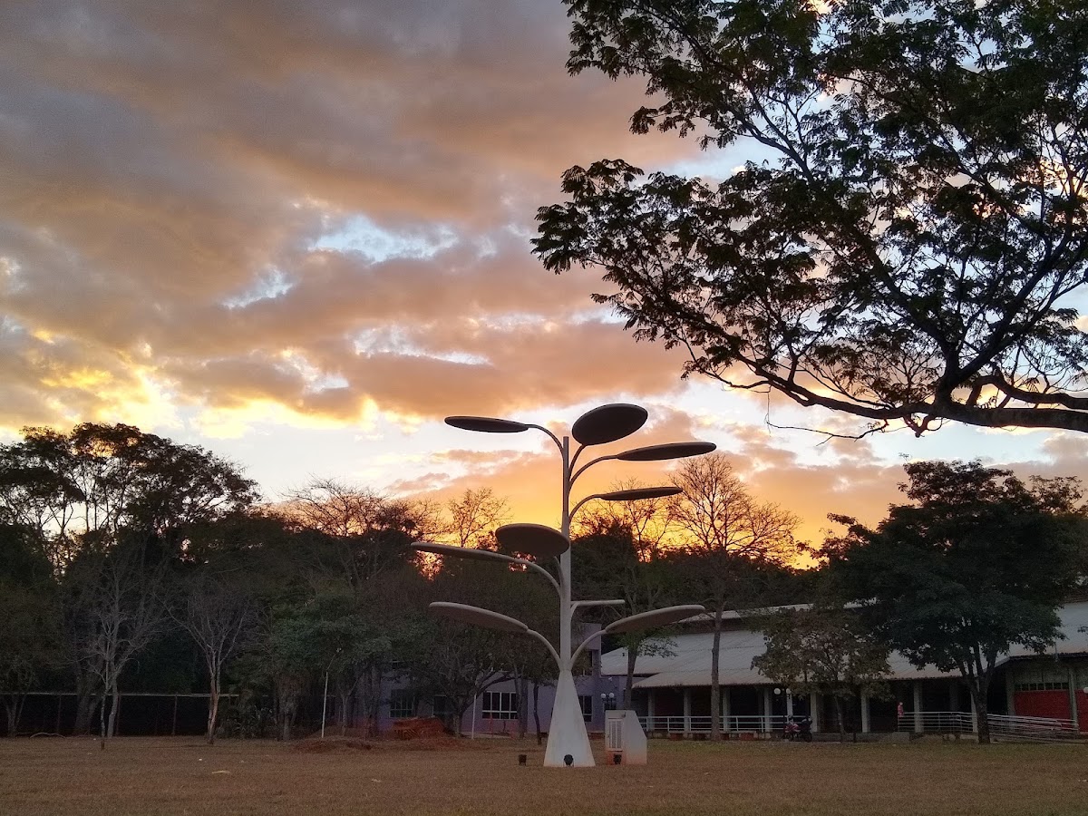 Federal University of Goiás photo 2