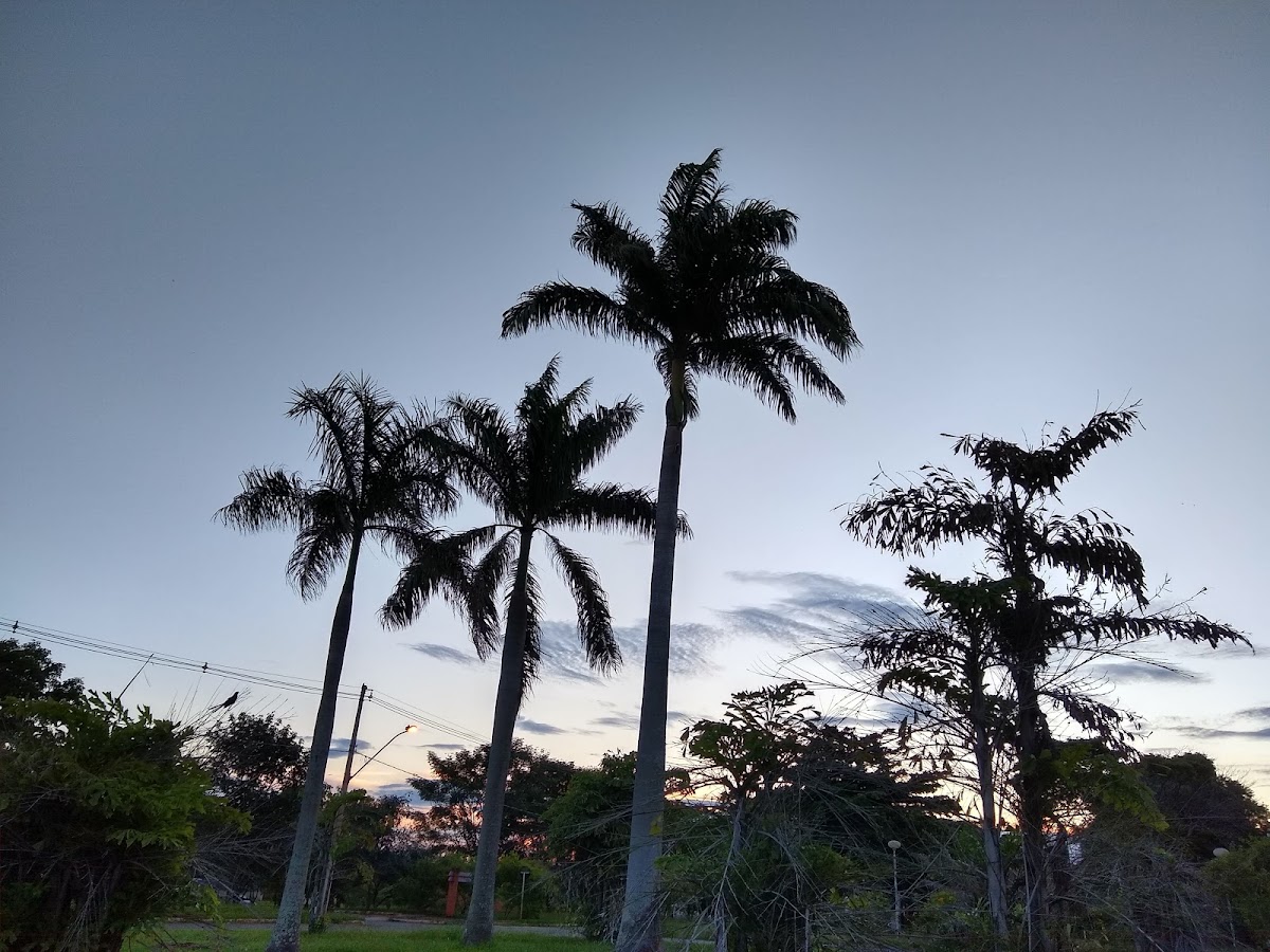 Federal University of Goiás photo 5