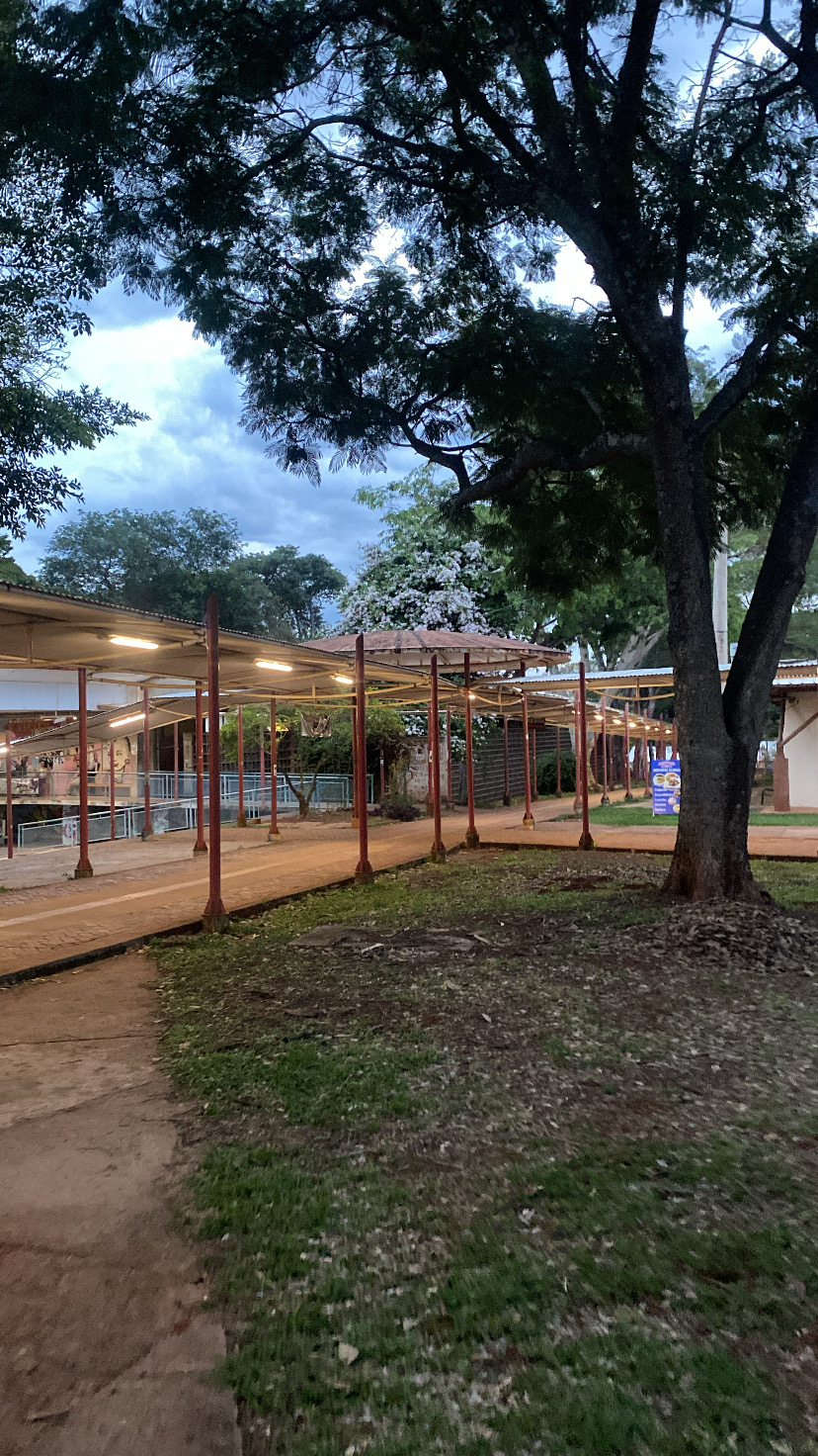 Federal University of Goiás photo 9