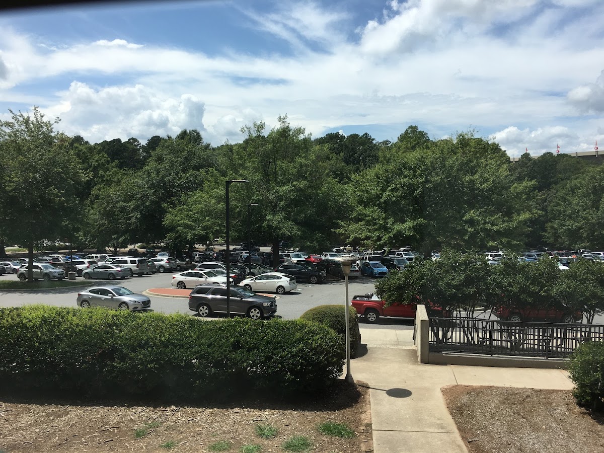 Clemson University photo 6