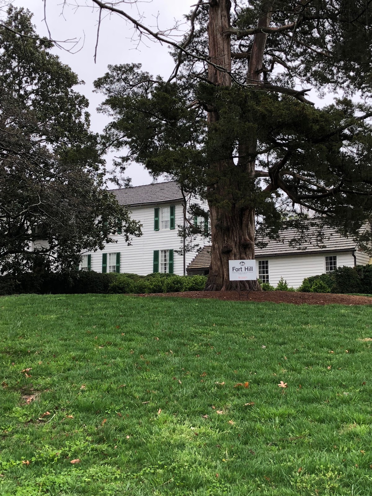 Clemson University photo 8