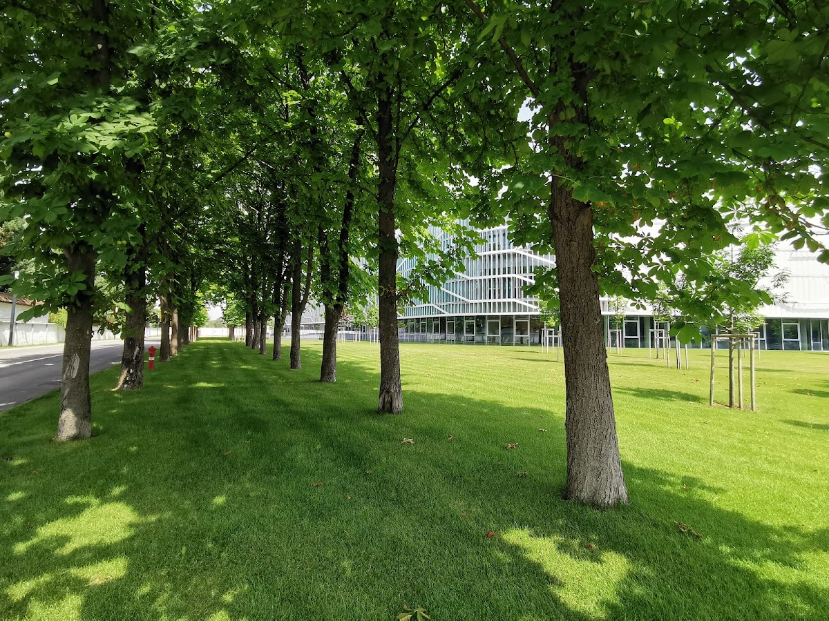 John von Neumann University photo 3