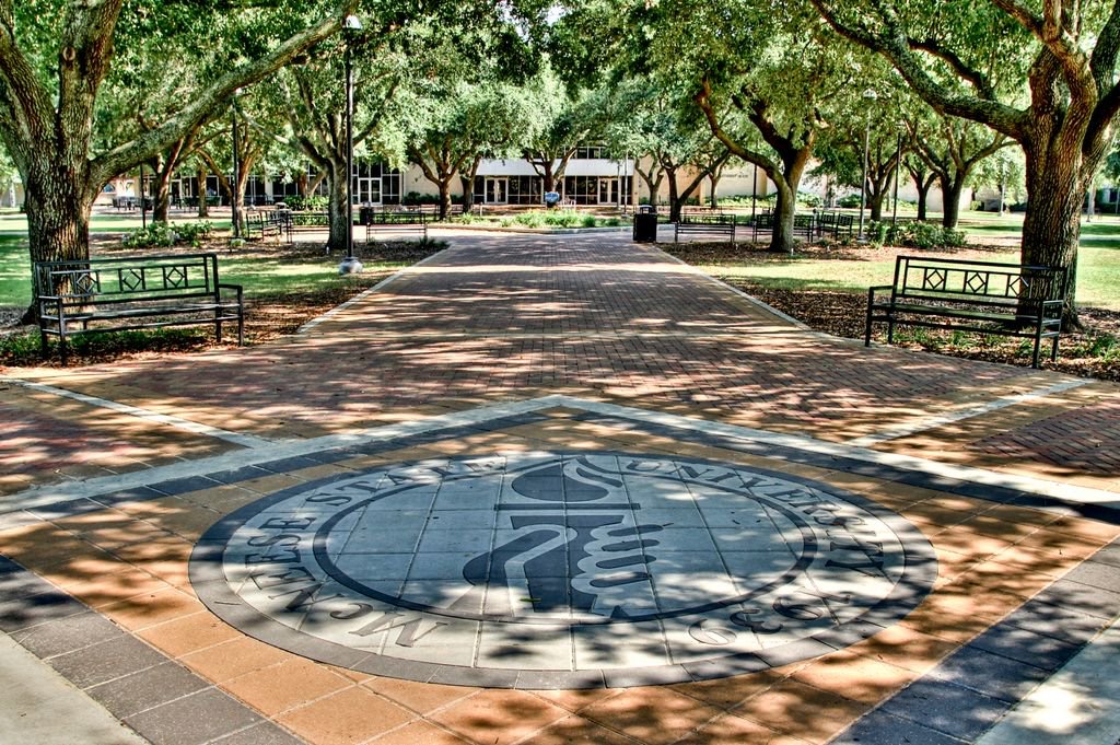 McNeese State University photo 5